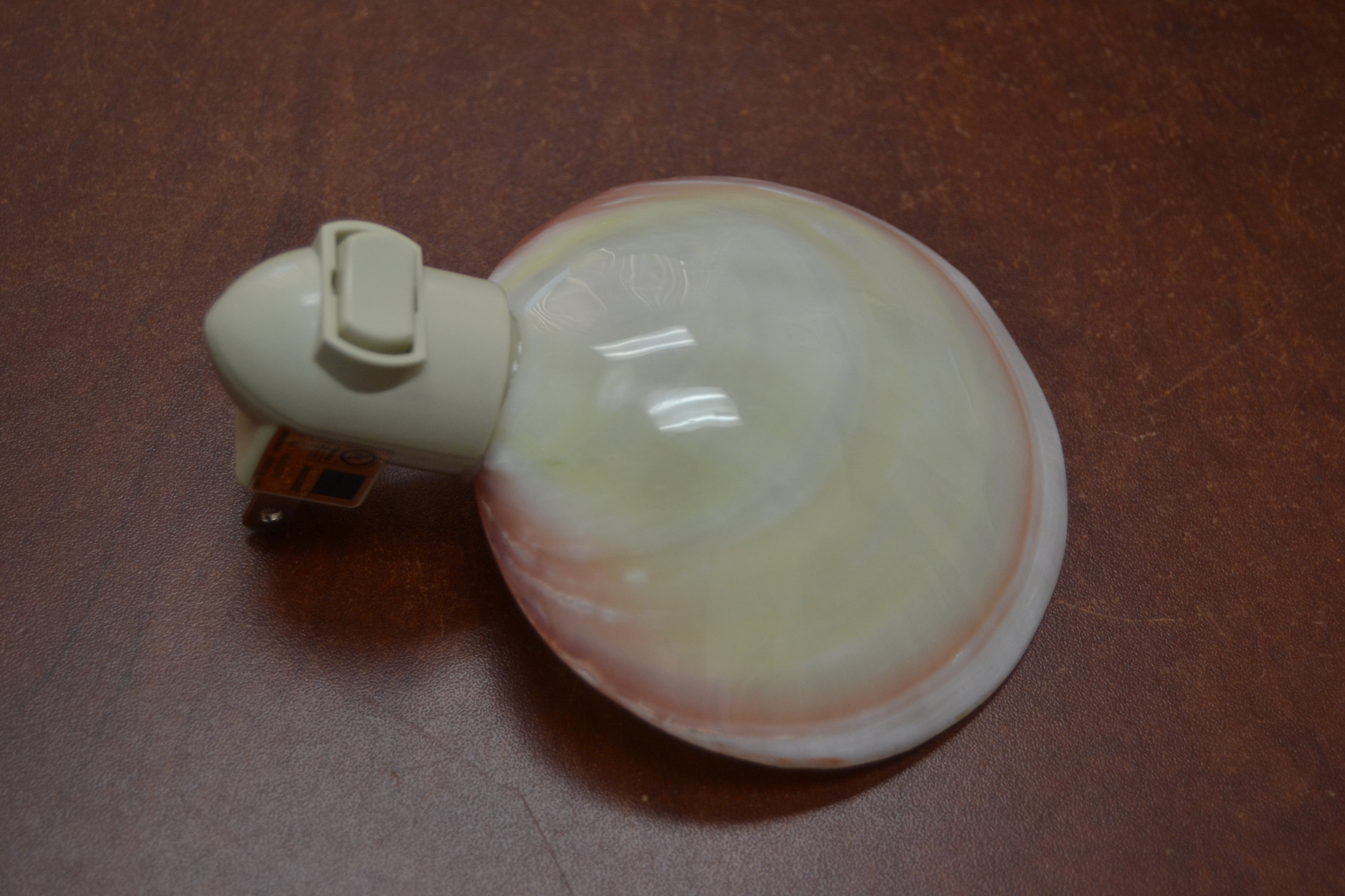 Pink Mother of Pearl Seashell Shell Nightlight